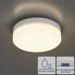Светильник накладной Novotech Led 358683 10 Вт IP54
