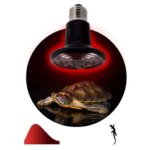 Лампа Эра Fito для террариумов с рептилиями Е27 50 Вт ЭРА FITO-50W-НQ