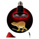 Лампа Эра Fito для террариумов с рептилиями Е27 150 Вт ЭРА FITO-150W-НQ