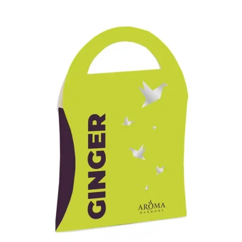 Саше ароматизированное Ginger 10 г AROMA HARMONY