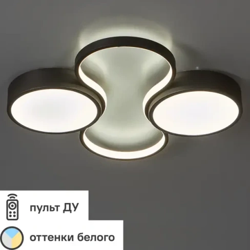 Светильник потолочный Freya FR10015CL-L63B FREYA
