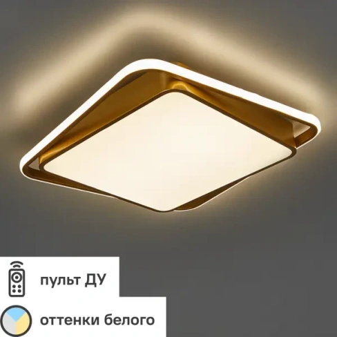 Светильник потолочный Freya FR10026CL-L93G FREYA