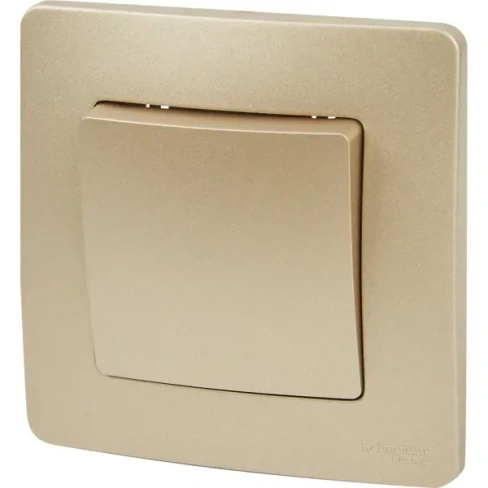 488710397 Выключатель встраиваемый Schneider Electric Blanca 1 клавиша цвет титановый SCHNEIDER ELECTRIC Blanca Выключатель