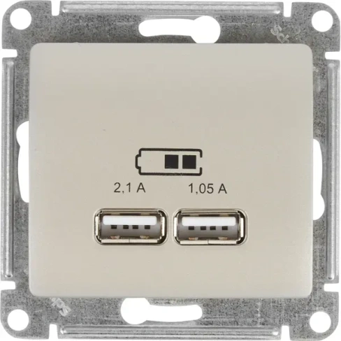 488724493 Розетка встраиваемая Schneider Electric Glossa A+A цвет платина SCHNEIDER ELECTRIC Розетка USB А+А
