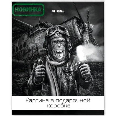 Картина на холсте Смелый пилот 40х50 см FBRUSH Lm45-13910 PREMIUM
