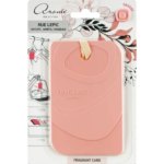 Ароматическое саше Fragrant Card Rue Lepic