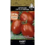 Семена овощей Поиск томат Кадет ПОИСК