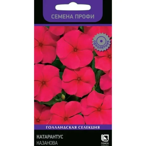 488741930 Семена цветов Поиск катарантус Казанова 10 шт. ПОИСК