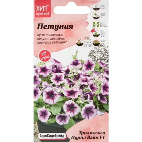 488743950 Семена цветов Агросидстрейд петуния Триложи Пурпл Вэйн 5 шт. АГРОСИДСТРЕЙД