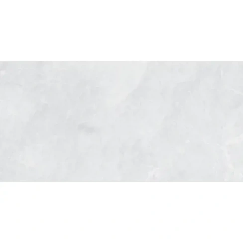 Керамогранит Montecarlo Bianco 60x120 см 2.88 м² матовый цвет серый Marble