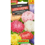 Семена цветов Аэлита астра Александрия АЭЛИТА
