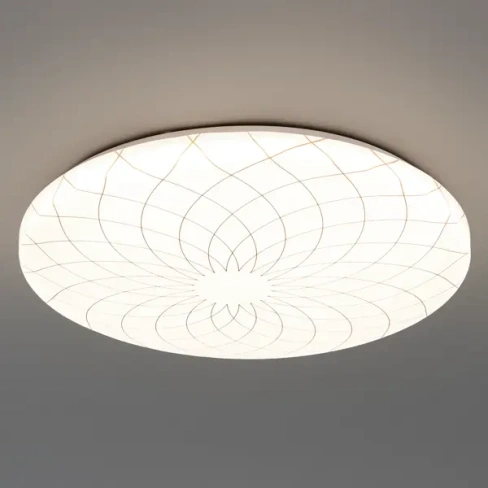 Светильник настенно-потолочный светодиодный Lumin Arte Fler C19LLS55W