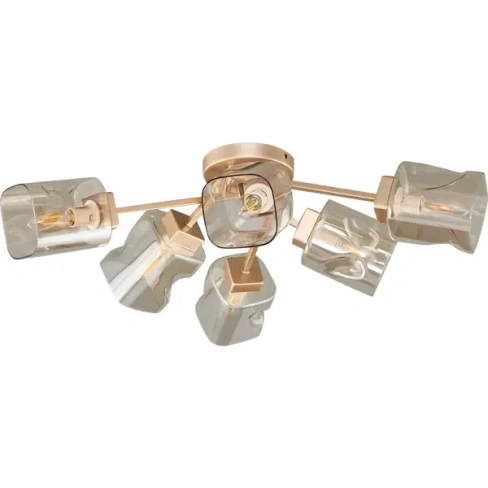 Светильник потолочный Freya FR5095CL-06G