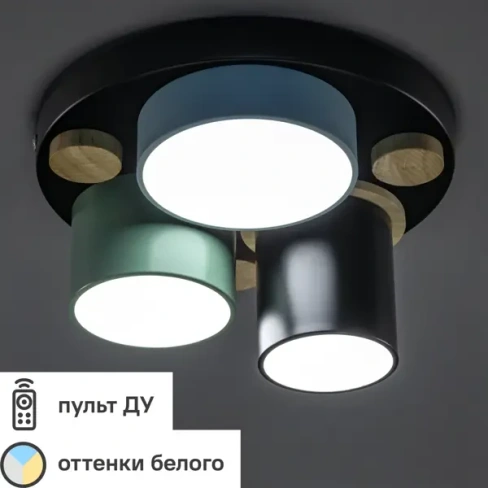 Люстра потолочная светодиодная Ritter Scandia 52074 0 30 Вт 10 м² регулируемый белый свет цвет черный/зеленый/голубой/де