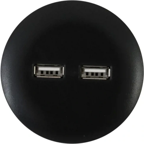 Розетка для трека 2 USB 2.1 цвет чёрный SKYBEAM YL-TSP01-Ub