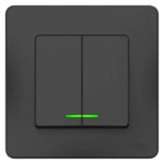 Выключатель встраиваемый Schneider Electric Blanca 2 клавиши цвет антрацит SCHNEIDER ELECTRIC