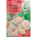 Чеснок озимый Добрыня 7 шт АСТ