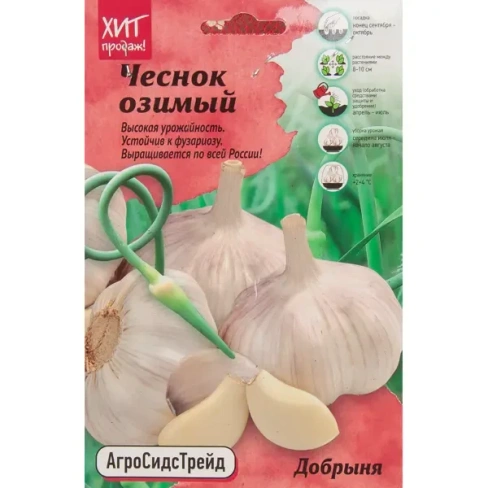 Чеснок озимый Добрыня 7 шт АСТ