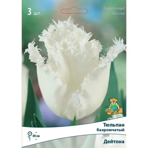 489364052 Тюльпан бахромчатый «Дейтона» размер луковицы 10/11