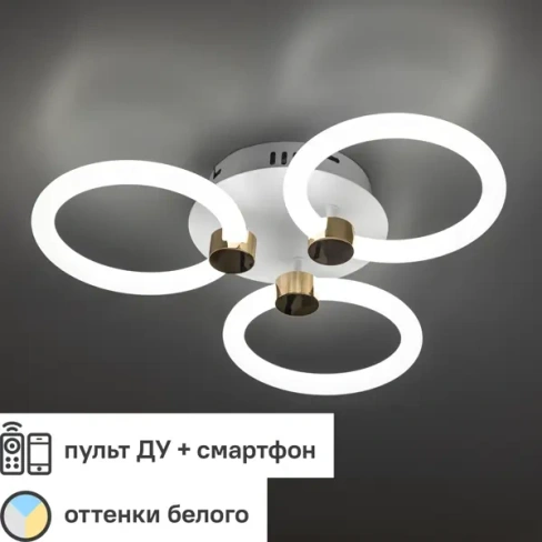 500382192 Люстра потолочная светодиодная диммируемая Ritter Ottimo 51611 2 с Алисой и пультом 66Вт 30м² 2700K-6400K цвет белый/зол