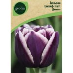Тюльпан триумф Джекпот 3 шт. GEOLIA