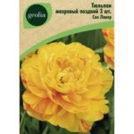 Тюльпан махровый поздний Сан Лавер 3 шт. GEOLIA