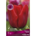 Тюльпан триумф Стронг Лав GEOLIA