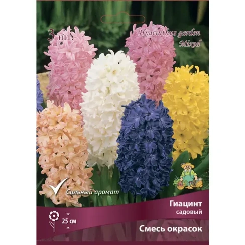 Гиацинты садовые смесь окрасок