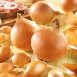 Лук-севок Стурон луковицы 8/21